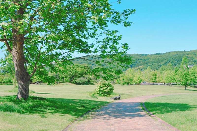 沼自動車学校の合宿免許の風景