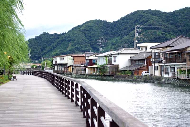 千丈川沿いの木製遊歩道もっきんロードの写真